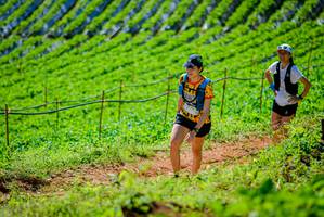 BIB: 174
                            <button type="button" onclick="openModal(19163294)" class="btn btn-primary btn-sm float-right btn-popup" data-toggle="modal" data-target=".modal-high-quality">
                        <i class="fas fa-shopping-cart"></i> Add to Cart
                    </button>
                                            <button type="button" onclick="isThisMe(19163294, true)" class="btn btn-success btn-sm float-right btn-popup btn-isme hidden" data-toggle="tooltip" data-placement="bottom" title="นี่คือรูปของคุณใช่ไหม คลิกที่นี่เพื่อเอาเข้าอัลบั้ม">
                        <i class="fas fa-plus"></i> Add to album
                    </button>
                    <button type="button" onclick="isThisMe(19163294, false)" class="btn btn-warning btn-sm float-right btn-popup btn-isnotme hidden">
                        <i class="fas fa-ban"></i> Remove from album
                    </button>